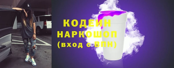 ешки Арсеньев