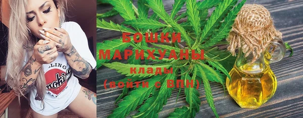 ешки Арсеньев