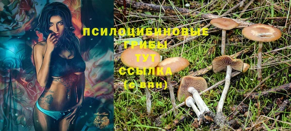 ешки Арсеньев