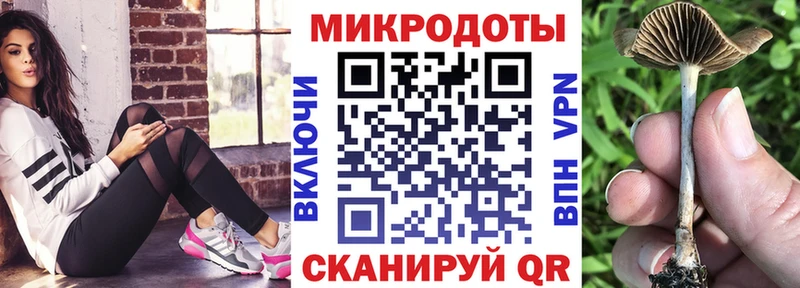 Галлюциногенные грибы MAGIC MUSHROOMS купить цена Починок